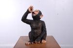 Boozy Chimp Bottle Holder