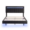 Queen Size Floating Bed Frame with LED Lights and USB Charging,Modern Upholstered Platform LED Bed Frame,Black