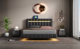 Queen Size Floating Bed Frame with LED Lights and USB Charging,Modern Upholstered Platform LED Bed Frame,Black